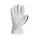 sup-378gkgvbe_b.webp