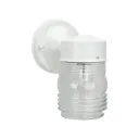 Luminaire mural extérieur 1 x E26 60W Max blanc