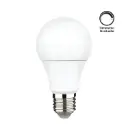 Ampoule A19 DEL 9.5W 800 lumens 5000K E26 120V graduable